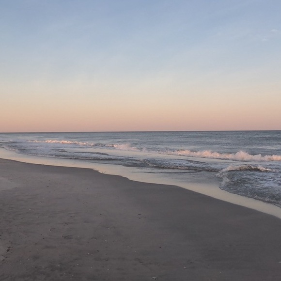 Meet your Posher, Emily - Picture 1 of 1